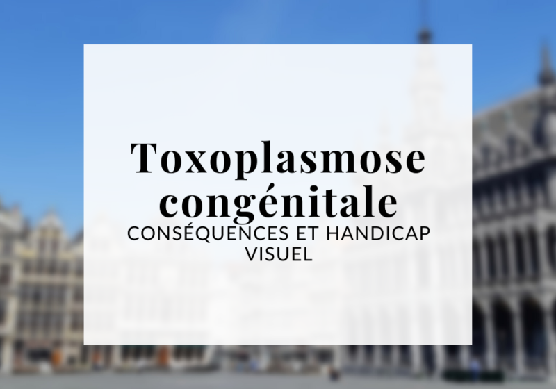 Encadré blanc contenant "Toxoplasmose congénitale : conséquences et handicap visuel". En arrière plan on aperçoit une photo floue de la grand place de Bruxelles