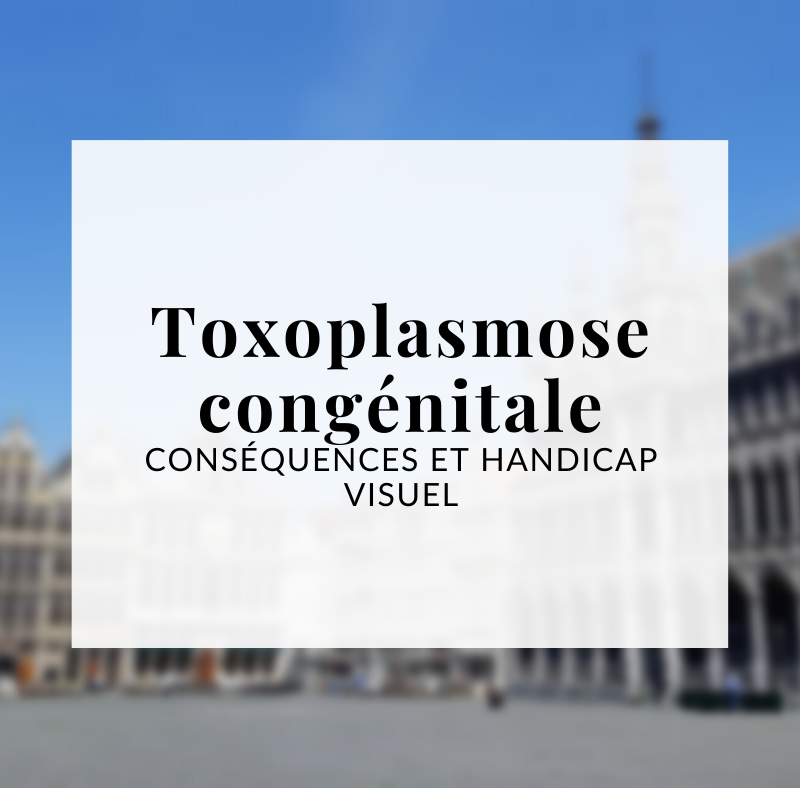 Encadré blanc contenant "Toxoplasmose congénitale : conséquences et handicap visuel". En arrière plan on aperçoit une photo floue de la grand place de Bruxelles
